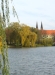 Stadtsee